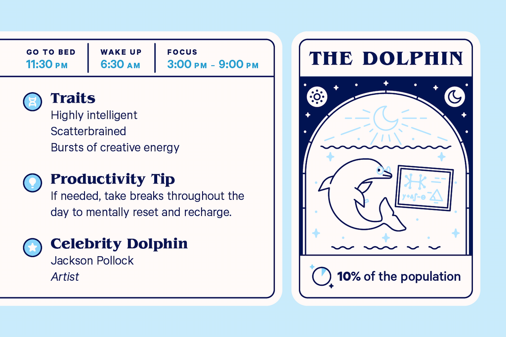 Characteristics of the dolphin chronotype.