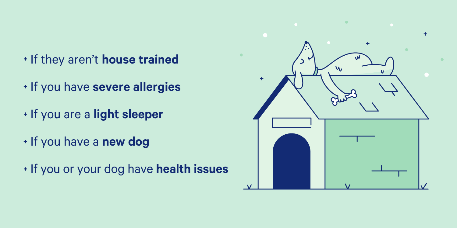 Dog sleeping on top of a dog house and situations where co-sleeping your dog doesn’t make sense. Illustration