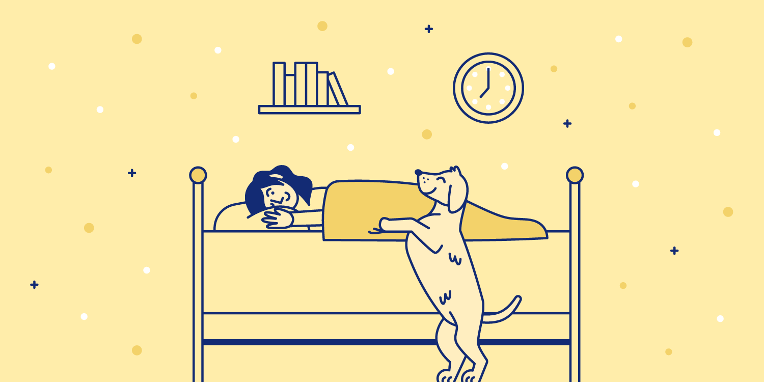 Dog politely asks to get on the bed with woman. Illustration.